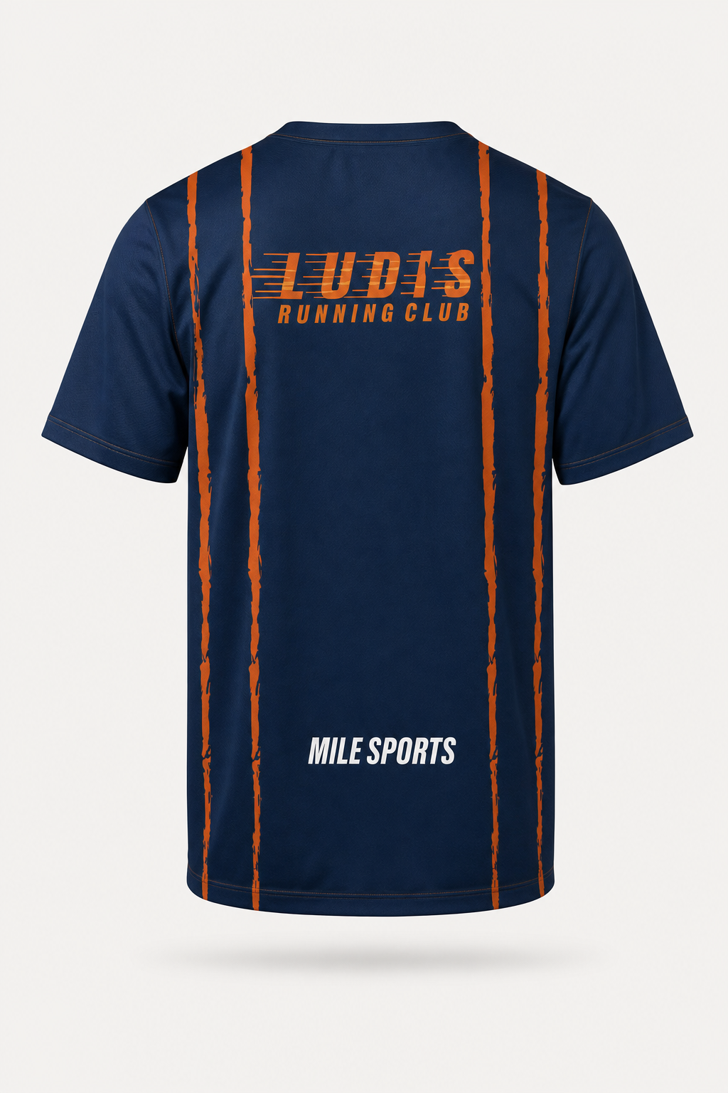 LUDIS T-Shirt // Børn (packshot bagside)