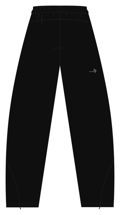 SEM IF Track Pants // Herrer – back